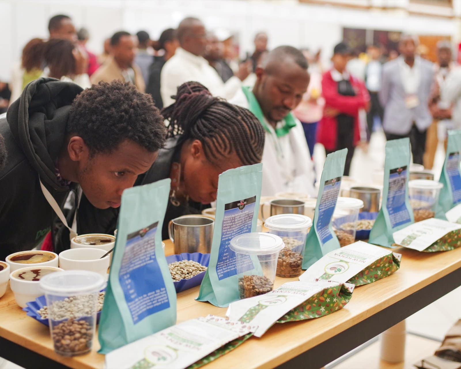 Participants evaluating East African coffees at the cupping table